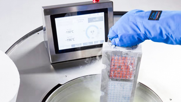 如何正確使用液氮罐？貝爾科技來告訴你