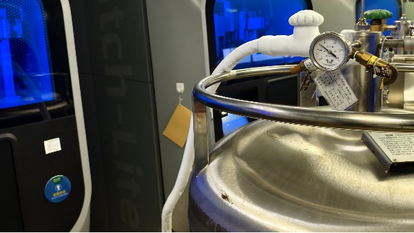 因操作不當(dāng)而造成液氮泄漏，工作人員應(yīng)如何處理呢？2024.1.24