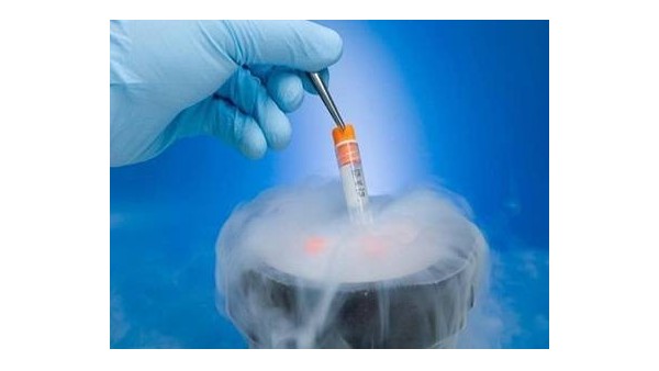 冷凍卵子設(shè)備安全嗎-BEOL青島貝爾智能科技為您答疑2021.11.20