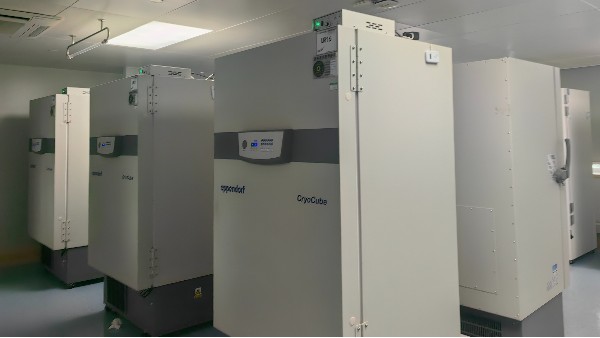 零下90度的超低溫冰箱里樣本能存活多久？答案取決于什么呢？25.5.26