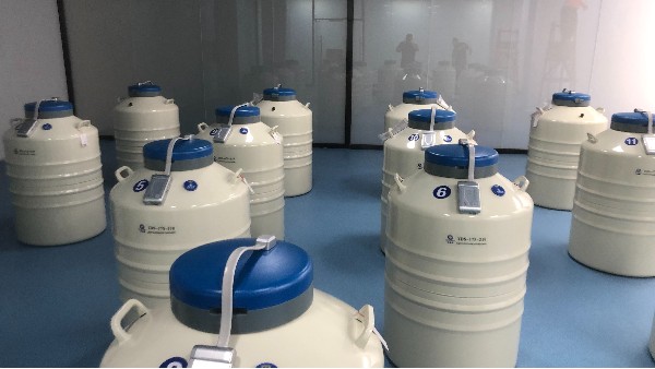 實(shí)驗(yàn)室液氮罐可以用來儲(chǔ)備液氮并且排放氣體的這款設(shè)備都有哪些優(yōu)勢呢？24.9.19