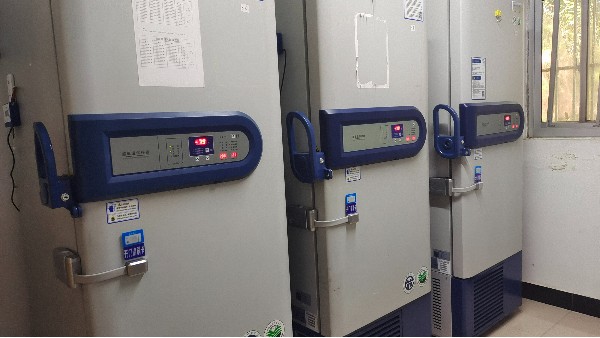 BEOL貝爾科技給超低溫樣本的保存再多一份保險(xiǎn)24.8.8