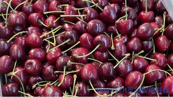 2022年，你實(shí)現(xiàn)車?yán)遄幼杂闪藛幔緽EOL貝爾科技22.1.14