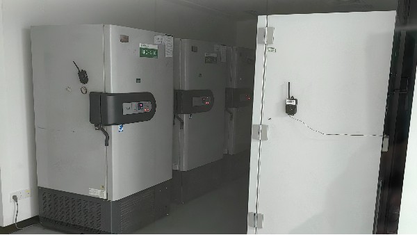 BEOL貝爾科技為您講述溫度監(jiān)控在醫(yī)院GCP應(yīng)用中的作用24.8.5