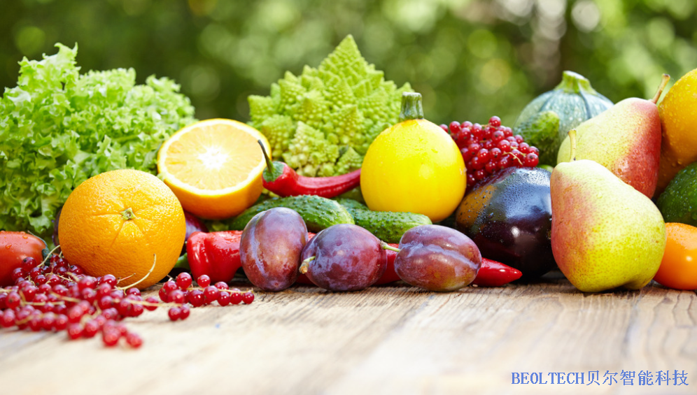 BEOL貝爾科技溫濕度監(jiān)控設(shè)備教你冷鏈運(yùn)輸小技巧22.1.26