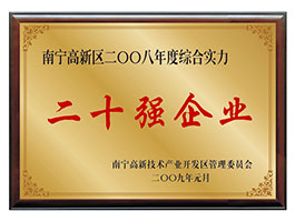 【行業類】南寧高新區2008年度綜合實力二十強企業